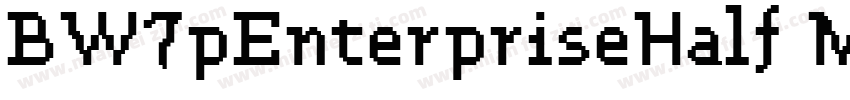 BW7pEnterpriseHalf Medium字体转换
